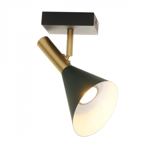 Anne Lighting Wandleuchte Anne's choice 2491ZW