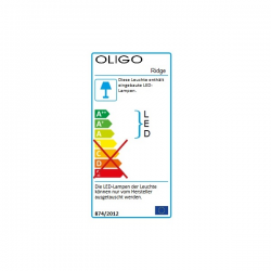 Oligo READY FOR TAKE OFF Ridge 11-889-21-06 LED Strahler