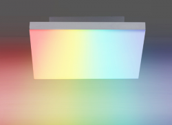 Paul Neuhaus Q-Frameless 8288-16 Deckenleuchte RGB