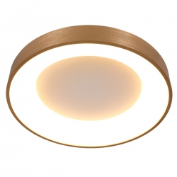 Steinhauer Lighting Deckenleuchte Ringlede 2563GO