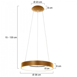 Steinhauer Lighting Pendelleuchte Ringlede 3299GO