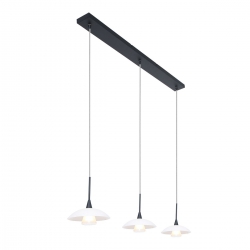 Steinhauer Lighting Pendelleuchte Tallerken 2654ZW