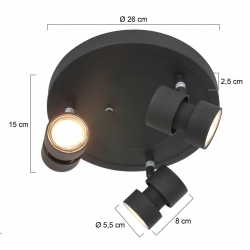 Steinhauer Lighting Deckenleuchte Natasja 7905ZW