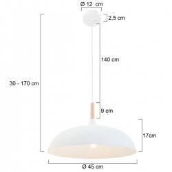 Mexlite Lighting Pendelleuchte Bjorr 7731W