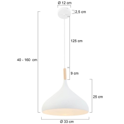 Mexlite Lighting Pendelleuchte Bjorr 7730W