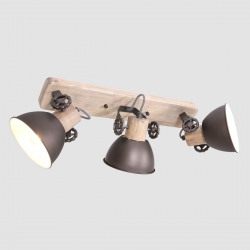 Mexlite Lighting Deckenleuchte Gearwood 2133