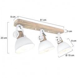 Mexlite Lighting Deckenleuchte Gearwood 2133